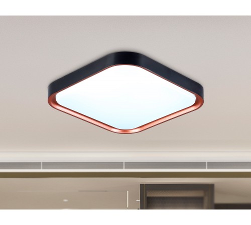 Накладной светильник Ambrella Light FZ1265 FZ Накладной светильник Ambrella Light FZ1265 FZ