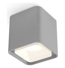 Накладной светильник Ambrella Light XS7842010 XS