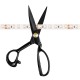 Лента светодиодная Loft it 10363/12065 NW Strip