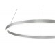 Подвесной светильник Indigo 14001/1P Silver Galass