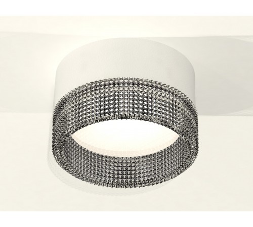 Накладной светильник Ambrella Light XS8101031 XS Накладной светильник Ambrella Light XS8101031 XS