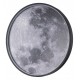 Накладной светильник Escada 10226/SG LED Moon Planet