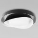 Накладной светильник Loft it 10256 Black Petale