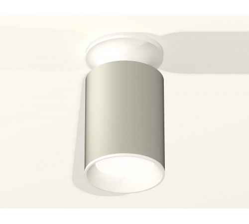 Накладной светильник Ambrella Light XS6314061 XS