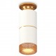 Накладной светильник Ambrella Light XS6301261 XS