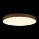 Накладной светильник Loft it 10228/B Flims
