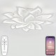 Потолочная люстра Natali Kovaltseva LED LAMPS 81335 Olimp