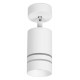 Спот Ambrella Light TN245 TN