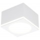 Накладной светильник Ambrella Light TN266 TN