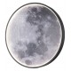Накладной светильник Escada 10226/SG LED Moon Planet