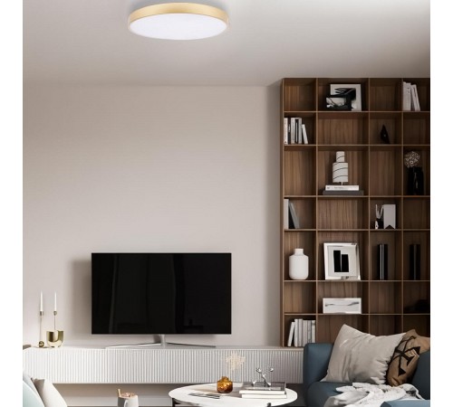 Накладной светильник Loft it 10228/B Flims Накладной светильник Loft it 10228/B Flims