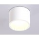 Накладной светильник Ambrella Light TN6550 TN