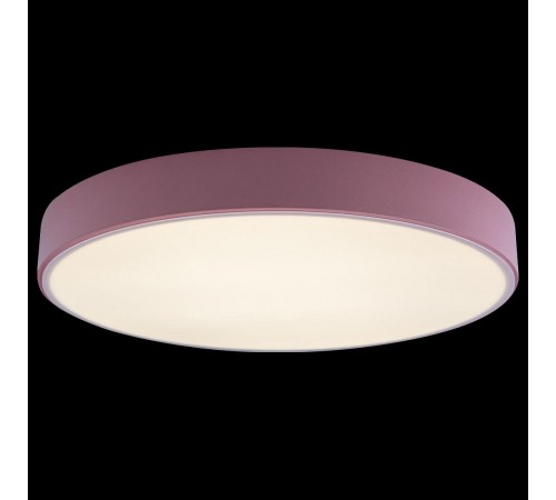 Накладной светильник Loft it 10002/24 Pink Axel 1 Накладной светильник Loft it 10002/24 Pink Axel 1