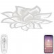 Потолочная люстра Natali Kovaltseva LED LAMPS 81335 Olimp