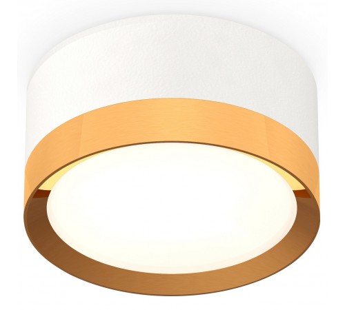 Накладной светильник Ambrella Light XS8101005 XS Накладной светильник Ambrella Light XS8101005 XS