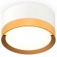 Накладной светильник Ambrella Light XS8101005 XS