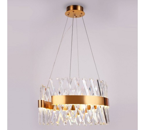 Подвесной светильник Ambrella Light TR5309 TR