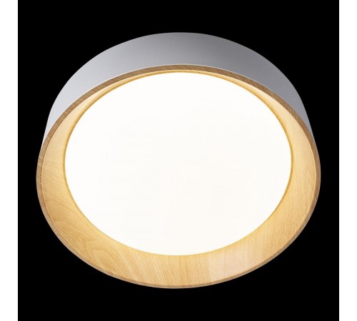 Накладной светильник Loft it 10202 White Coin Накладной светильник Loft it 10202 White Coin