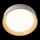 Накладной светильник Loft it 10202 White Coin