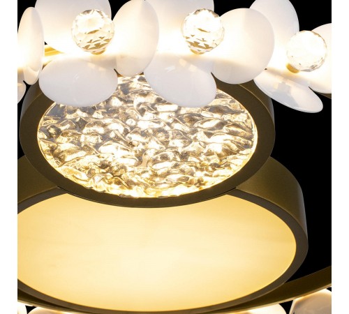 Накладной светильник Loft it 10174 Bride Накладной светильник Loft it 10174 Bride