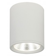 Накладной светильник Escada 20003SMU/02LED SWH 20003