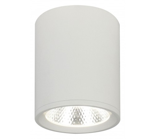 Накладной светильник Escada 20003SMU/02LED SWH 20003 Накладной светильник Escada 20003SMU/02LED SWH 20003