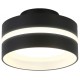 Накладной светильник Ambrella Light TN5421 TN
