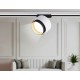 Светильник на штанге Ambrella Light GL5379 GL