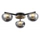 Потолочная люстра Ambrella Light LH12006 LH