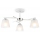 Светильник на штанге Ambrella Light TR303202 TR