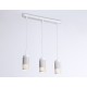 Подвесной светильник Ambrella Light TN51698 TN