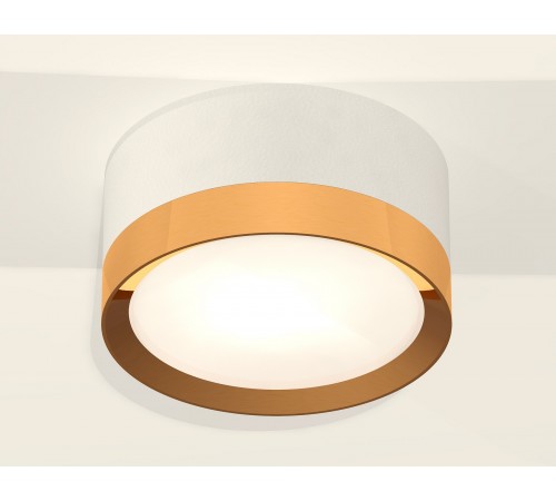 Накладной светильник Ambrella Light XS8101005 XS Накладной светильник Ambrella Light XS8101005 XS