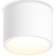 Накладной светильник Ambrella Light TN6550 TN