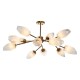 Люстра на штанге Indigo 13003/12C Brass Boccio