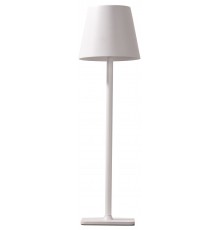 Настольная лампа декоративная Kink Light 07203-T,01 Никки