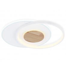 Накладной светильник Ambrella Light FL4788 FL