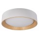Накладной светильник Loft it 10202 White Coin
