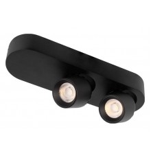 Накладной светильник Loft it 10320/2 Black Quiet