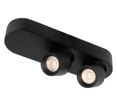 Накладной светильник Loft it 10320/2 Black Quiet Накладной светильник Loft it 10320/2 Black Quiet