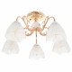 Потолочная люстра MyFar MR1661-5C Nicole
