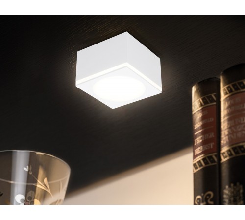Накладной светильник Ambrella Light TN266 TN Накладной светильник Ambrella Light TN266 TN