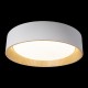 Накладной светильник Loft it 10202 White Coin