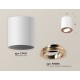 Накладной светильник Ambrella Light XS7421004 XS