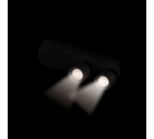 Накладной светильник Loft it 10320/2 Black Quiet Накладной светильник Loft it 10320/2 Black Quiet