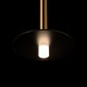 Подвесной светильник Loft it 10358/830 Disk AB Reed