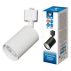 Светильник на штанге Volpe UL-00012467 UBL-Q324