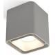 Накладной светильник Ambrella Light XS7842001 XS