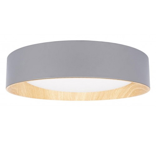 Накладной светильник Loft it 10202 Grey Coin Накладной светильник Loft it 10202 Grey Coin