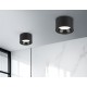 Накладной светильник Ambrella Light TN52894 TN
