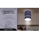 Накладной светильник Ambrella Light TN254 TN